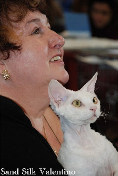 International Cat Show in Sport Center Ilan K.Haim Royal Cat Club (WCF)